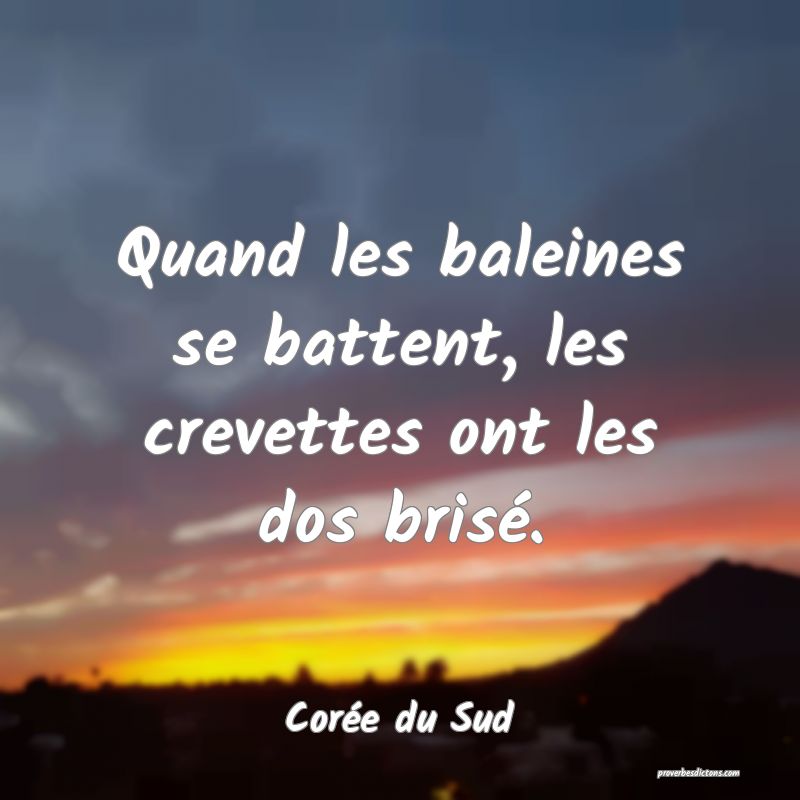  Quand les baleines se battent, les crevettes ont les dos brisé.