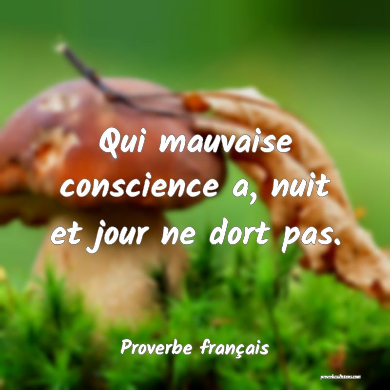 Qui mauvaise conscience a, nuit et jour ne dort pas.