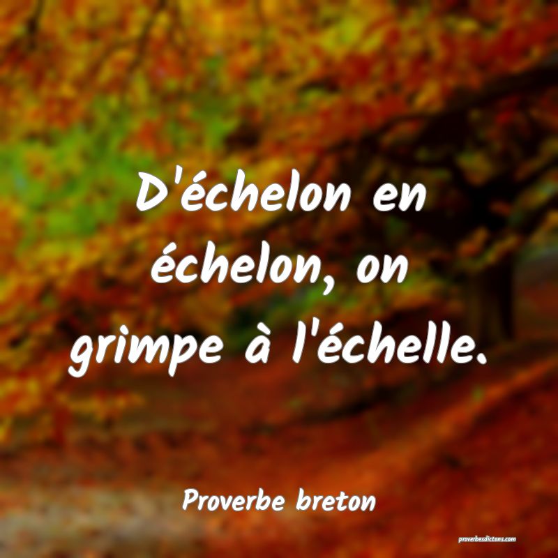 D'échelon en échelon, on grimpe à l'échelle.