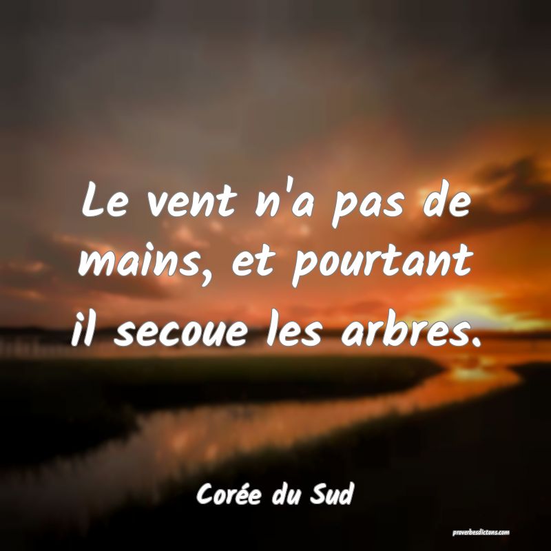  Le vent n'a pas de mains, et pourtant il secoue les arbres.