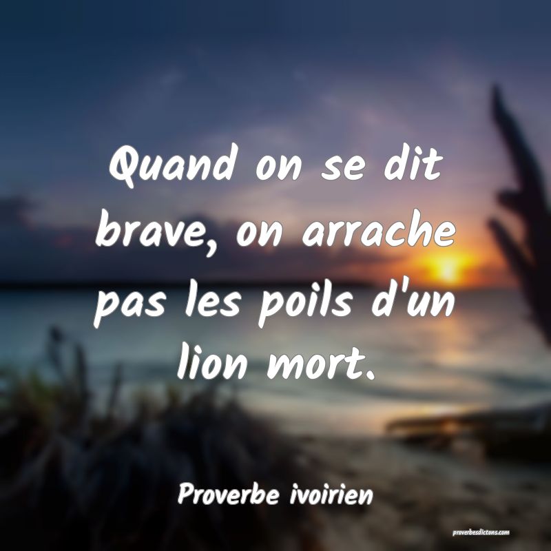 Quand on se dit brave, on arrache pas les poils d'un lion mort.