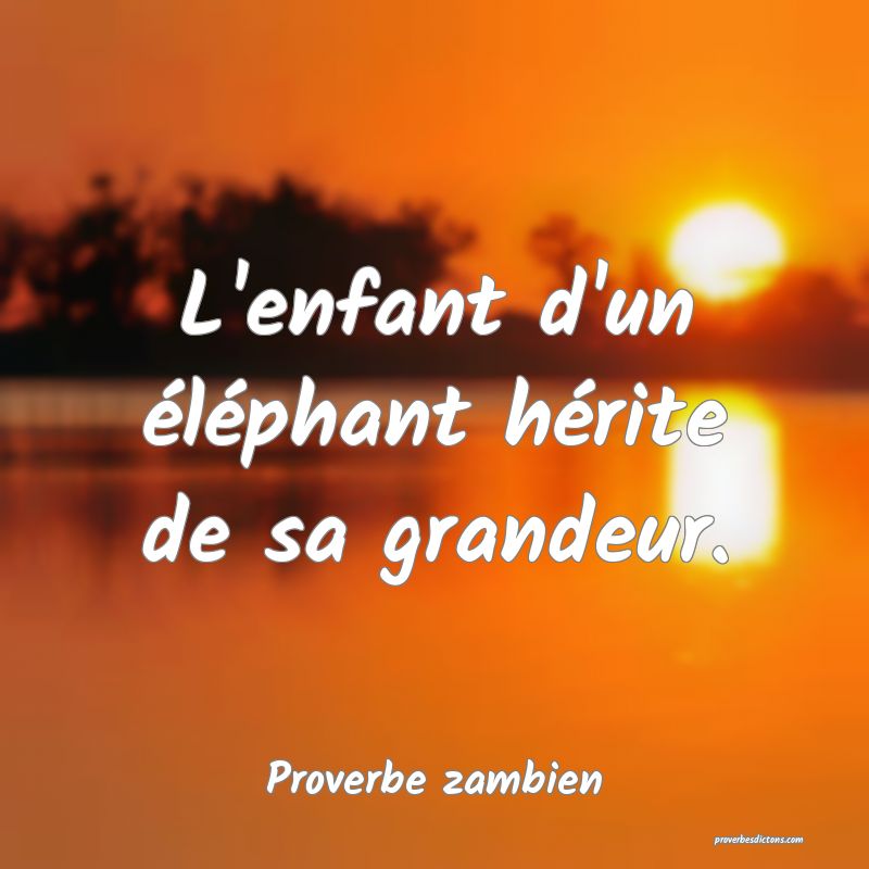 L'enfant d'un éléphant hérite de sa grandeur.