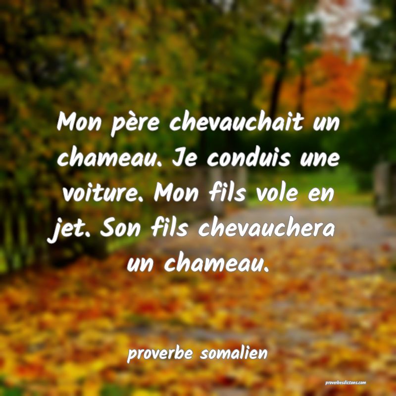  Mon père chevauchait un chameau. Je conduis une voiture. Mon fils vole en jet. Son fils chevauchera un chameau.