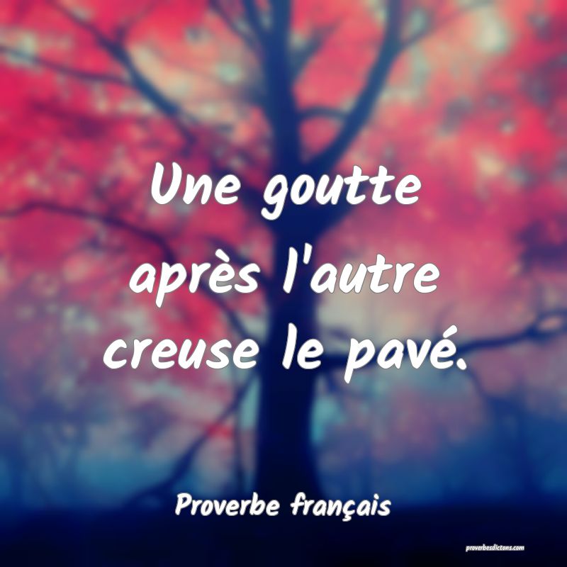 Une goutte après l'autre creuse le pavé.