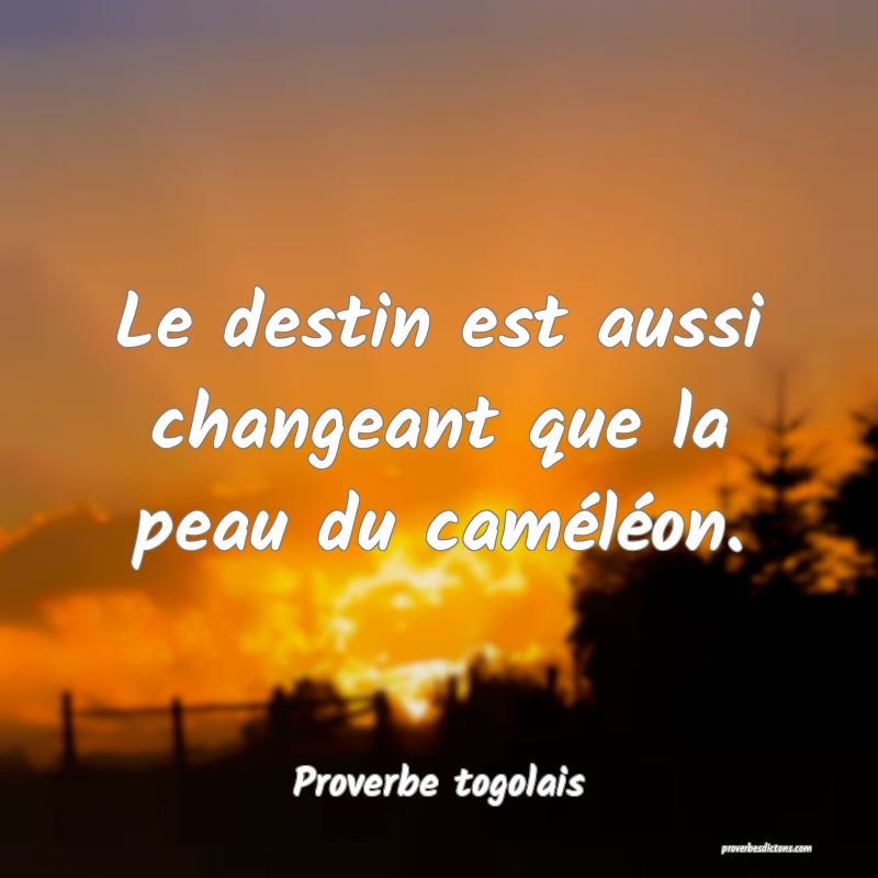 Le destin est aussi changeant que la peau du caméléon.