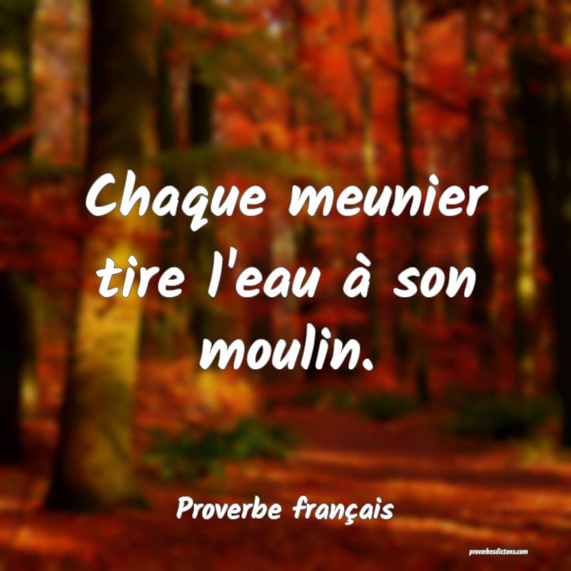 Chaque meunier tire l'eau à son moulin.