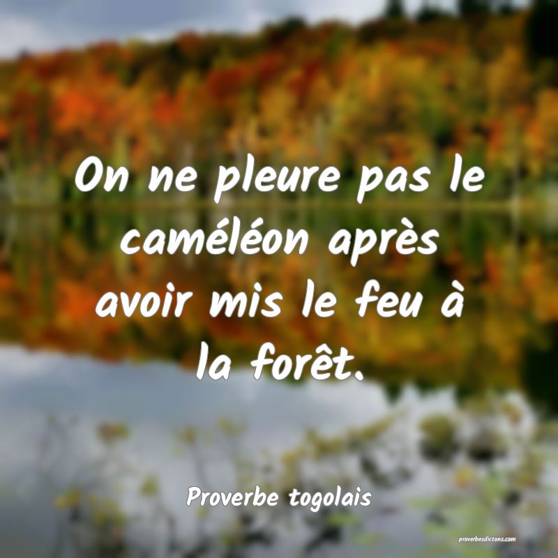 On ne pleure pas le caméléon après avoir mis le feu à la forêt.