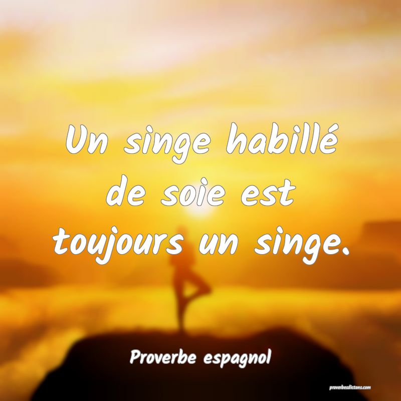 Un singe habillé de soie est toujours un singe.