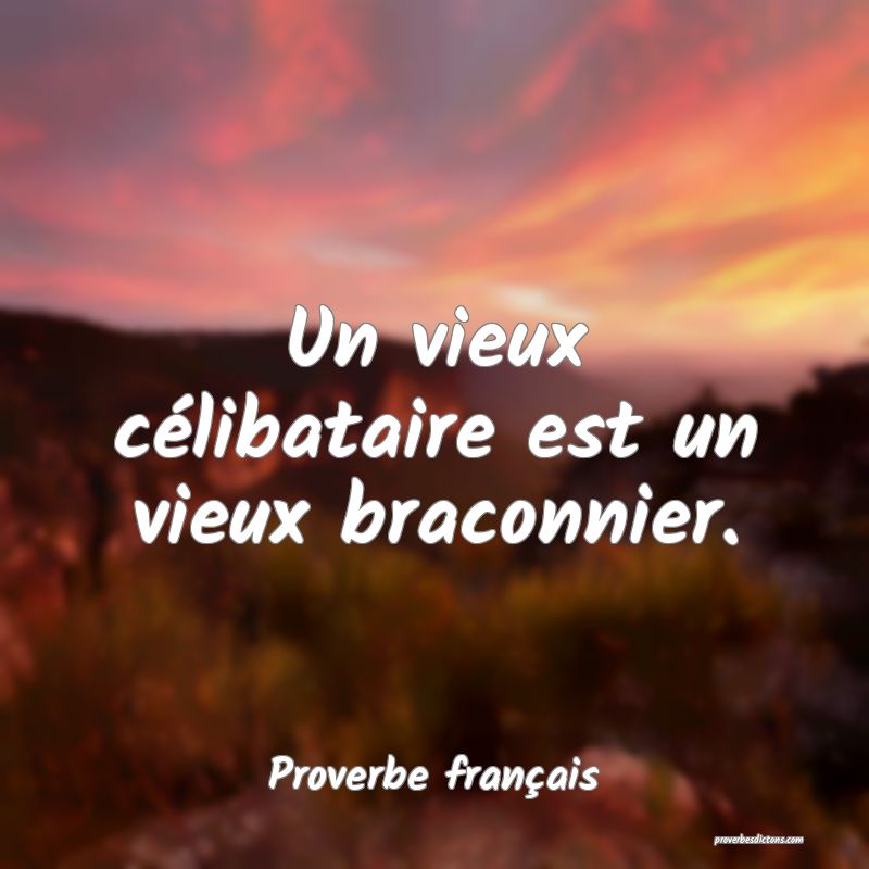 Un vieux célibataire est un vieux braconnier.