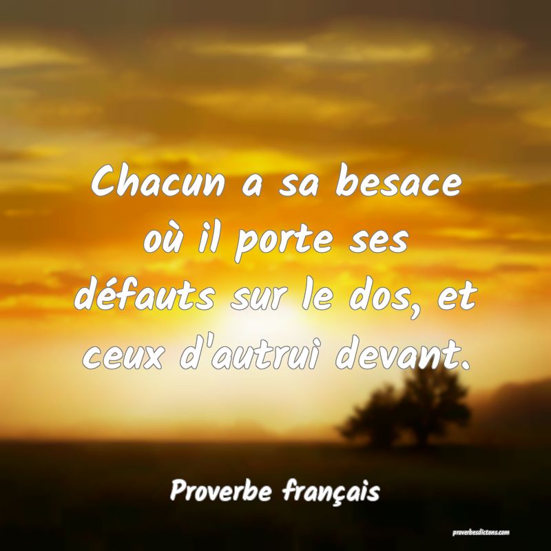 Chacun a sa besace où il porte ses défauts sur le dos, et ceux d'autrui devant.