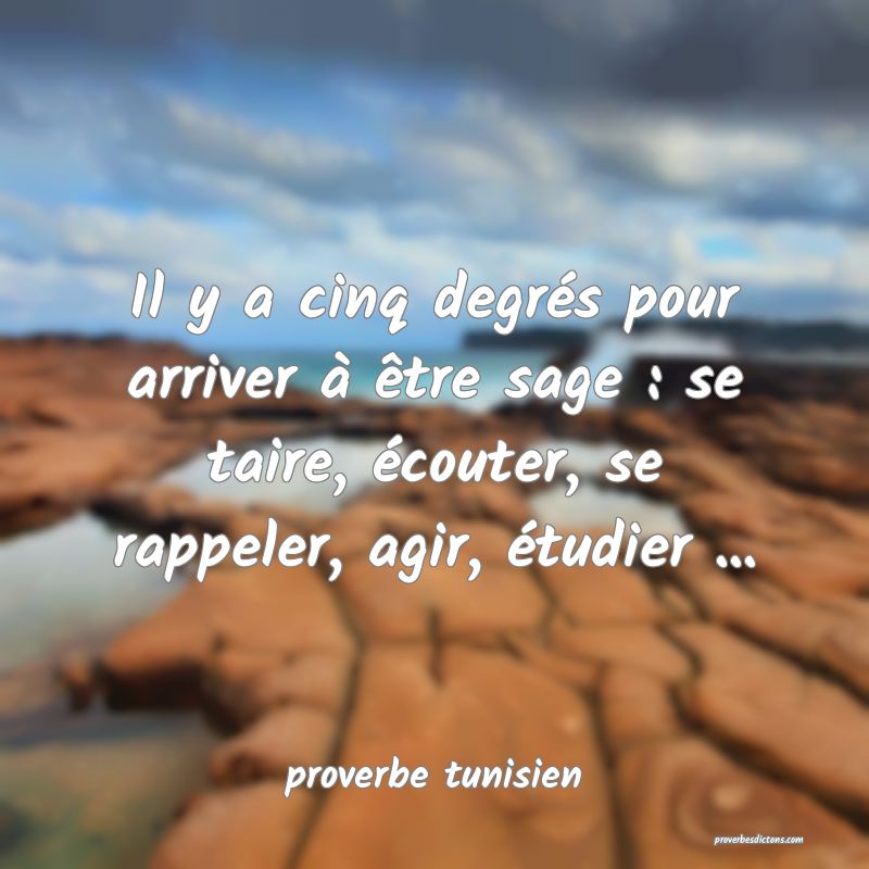  Il y a cinq degrés pour arriver à être sage : se taire, écouter, se rappeler, agir, étudier ...