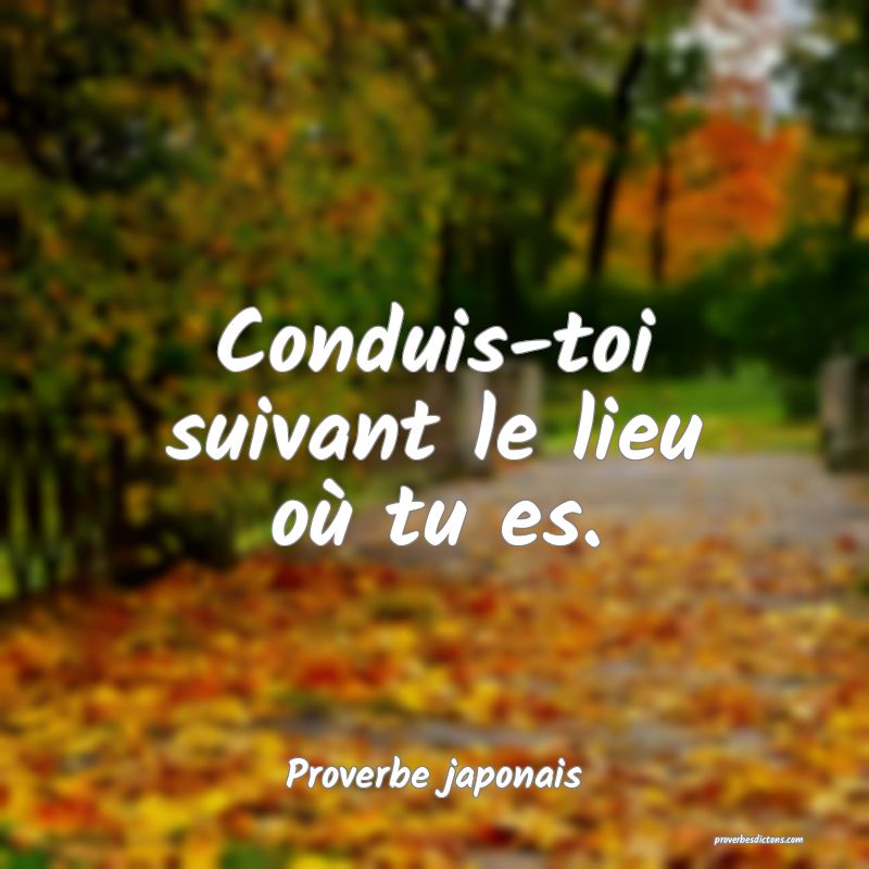 Conduis-toi suivant le lieu où tu es.