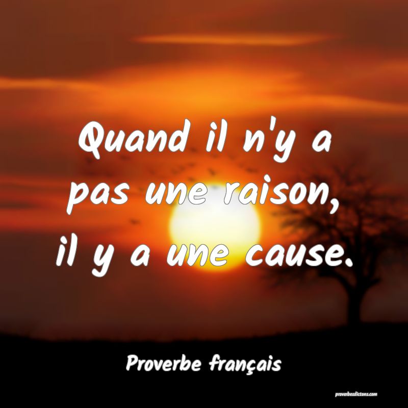 Quand il n'y a pas une raison, il y a une cause.
