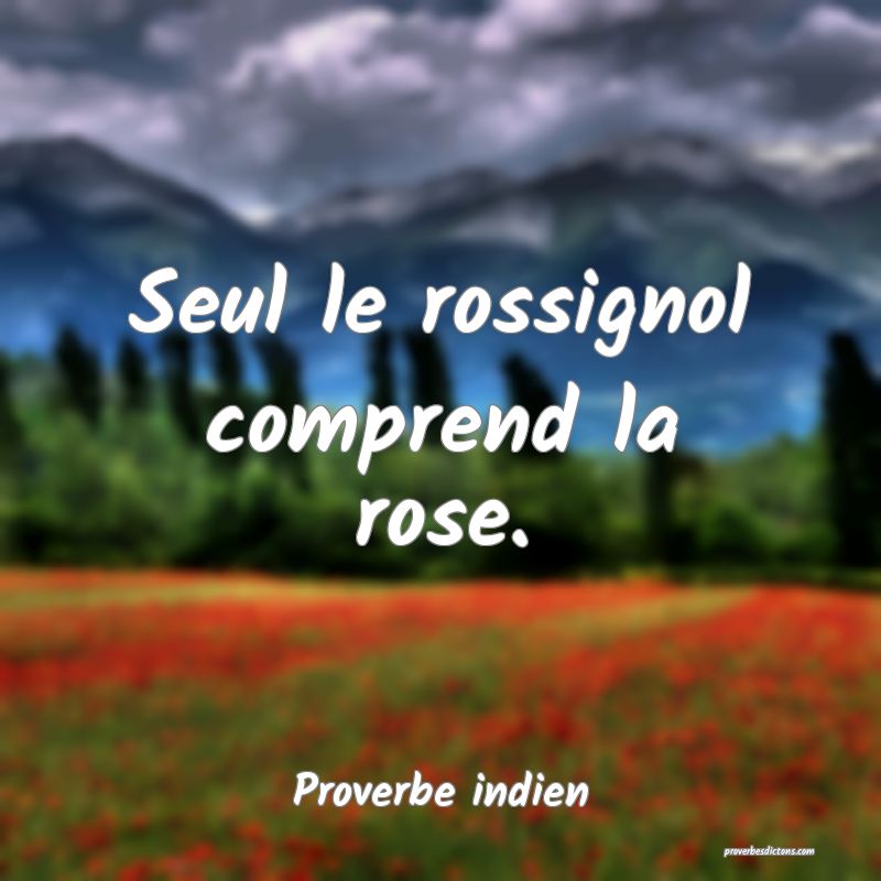 Seul le rossignol comprend la rose.