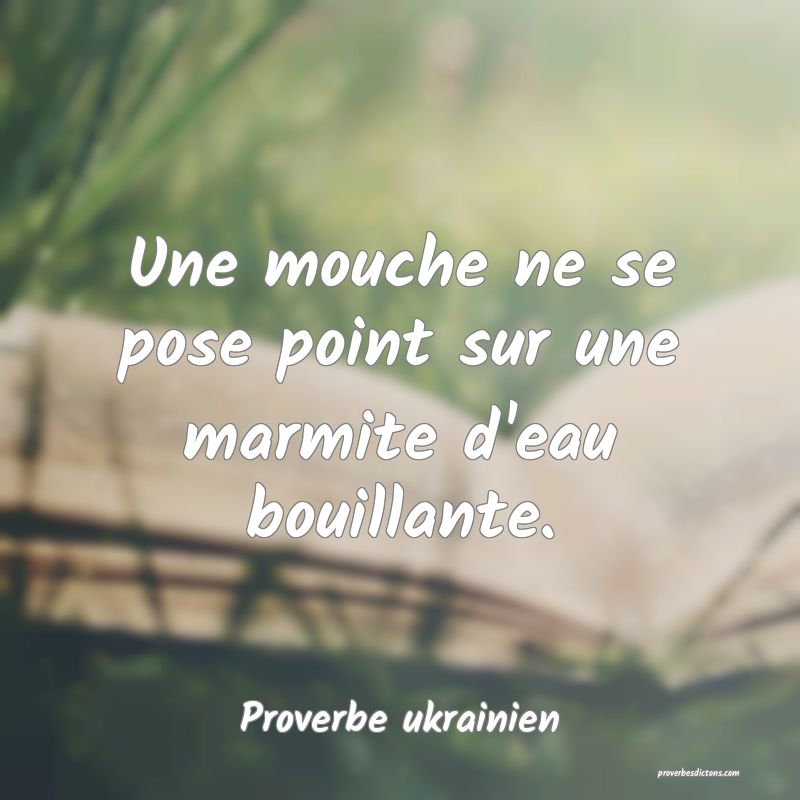 Une mouche ne se pose point sur une marmite d'eau bouillante.