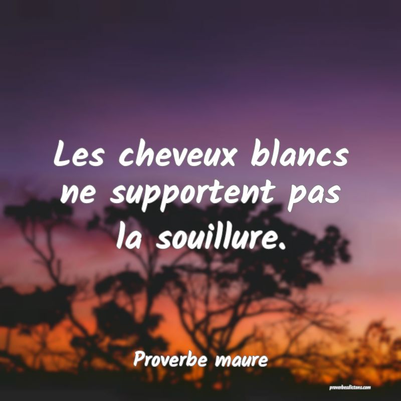 Les cheveux blancs ne supportent pas la souillure.