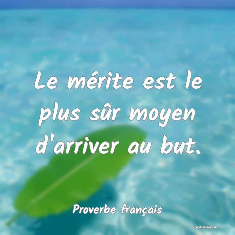 Le mérite est le plus sûr moyen d'arriver au but.