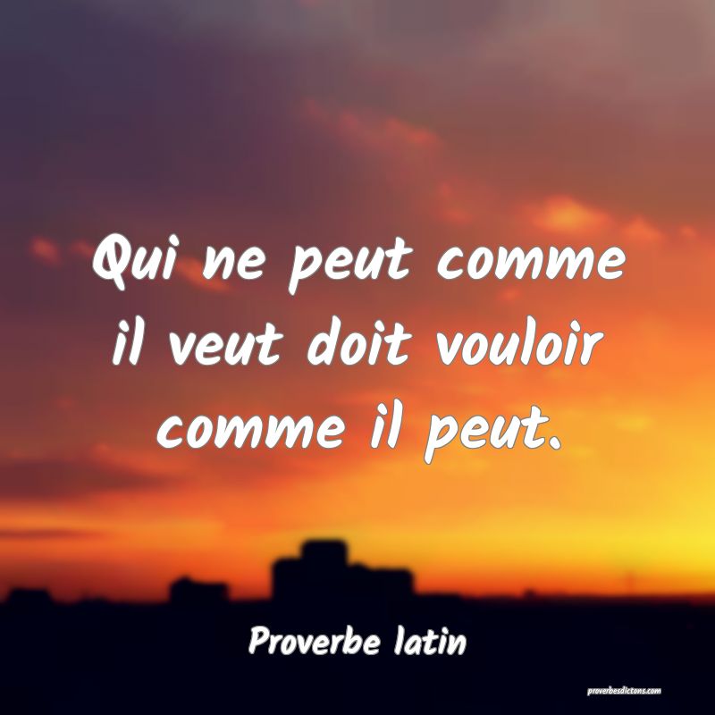 Qui ne peut comme il veut doit vouloir comme il peut.
