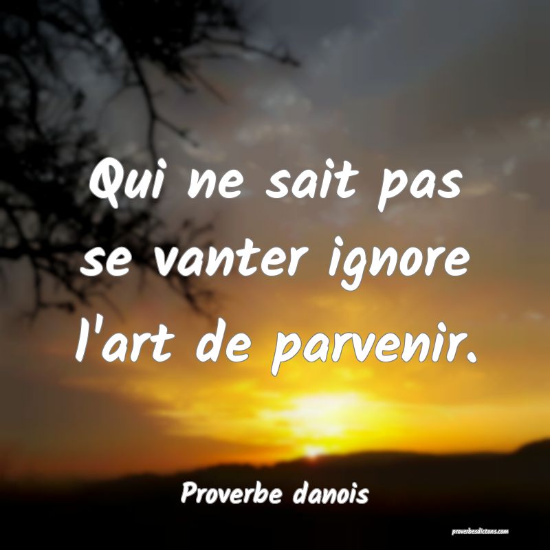 Qui ne sait pas se vanter ignore l'art de parvenir.