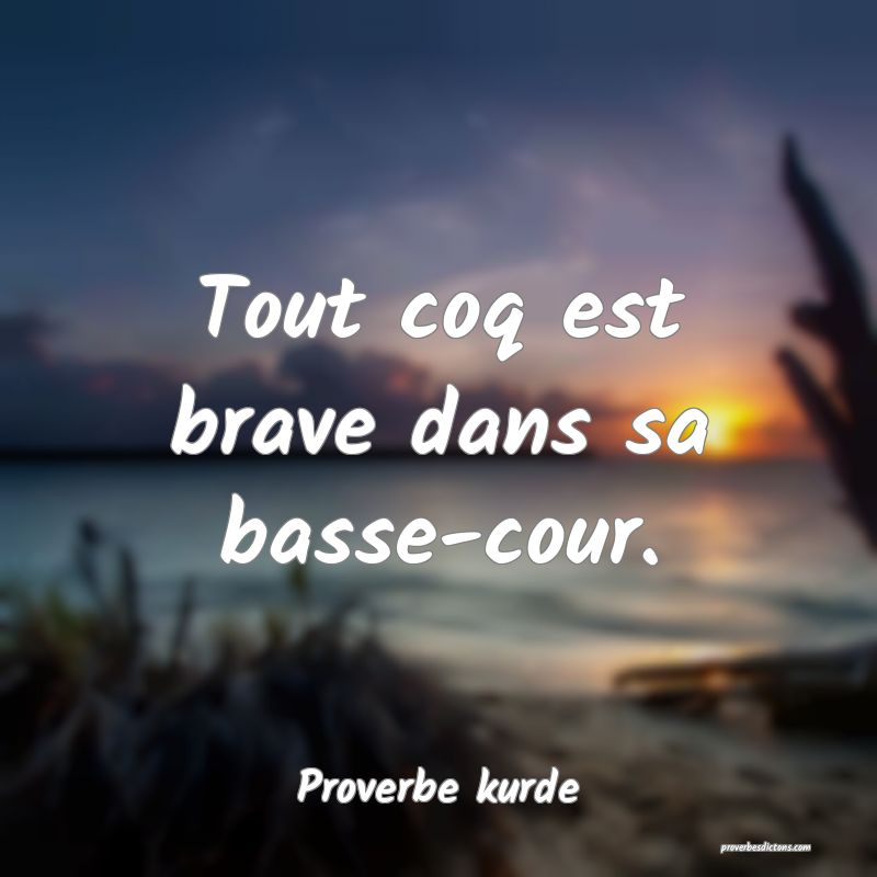 Tout coq est brave dans sa basse-cour.