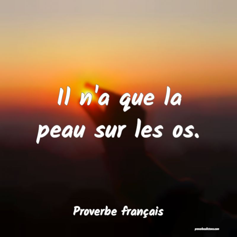 Il n'a que la peau sur les os.