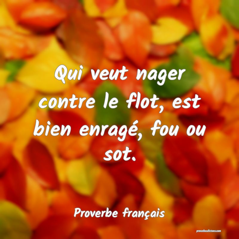 Qui veut nager contre le flot, est bien enragé, fou ou sot.