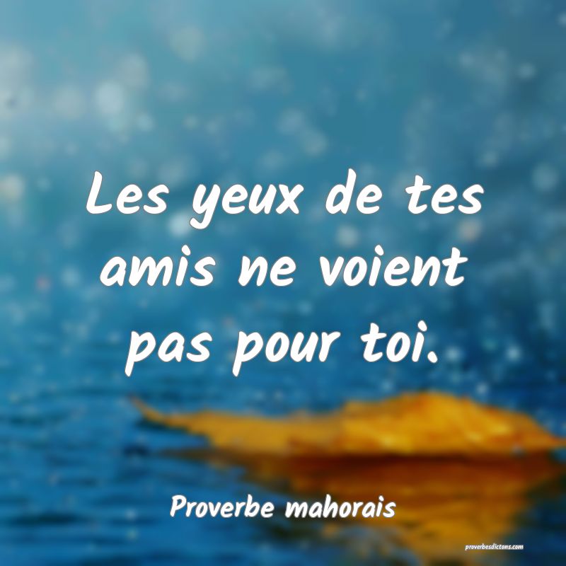 Les yeux de tes amis ne voient pas pour toi.