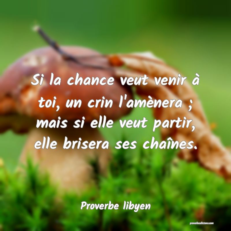 Si la chance veut venir à toi, un crin l'amènera ; mais si elle veut partir, elle brisera ses chaînes.