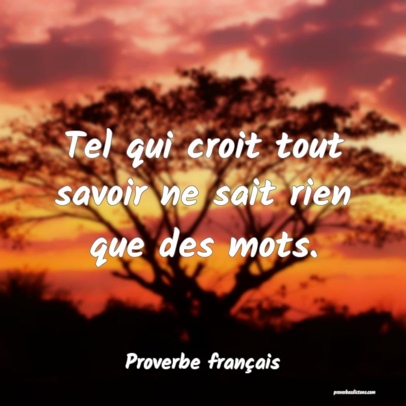 Tel qui croit tout savoir ne sait rien que des mots.