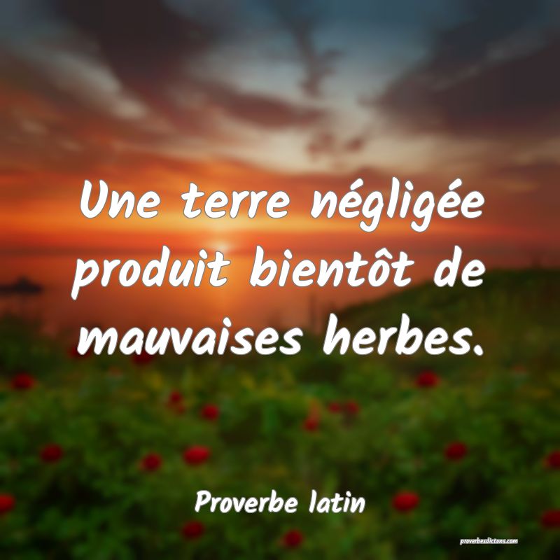 Une terre négligée produit bientôt de mauvaises herbes.