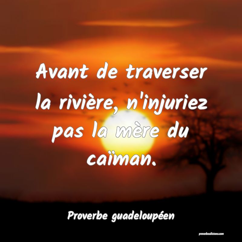 Avant de traverser la rivière, n'injuriez pas la mère du caïman.