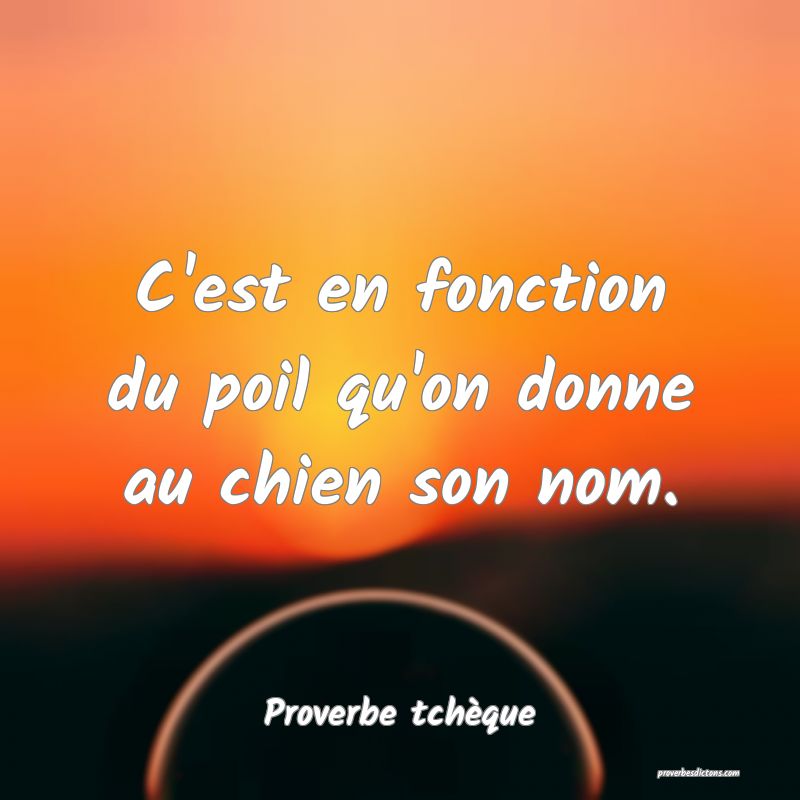 C'est en fonction du poil qu'on donne au chien son nom.