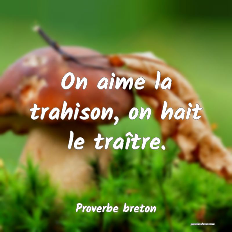 On aime la trahison, on hait le traître.