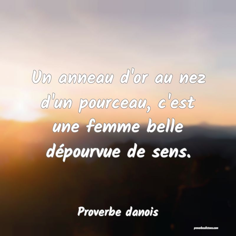 Un anneau d'or au nez d'un pourceau, c'est une femme belle dépourvue de sens.