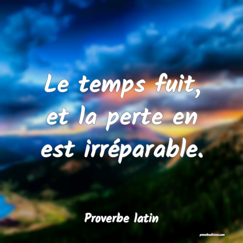 Le temps fuit, et la perte en est irréparable.
