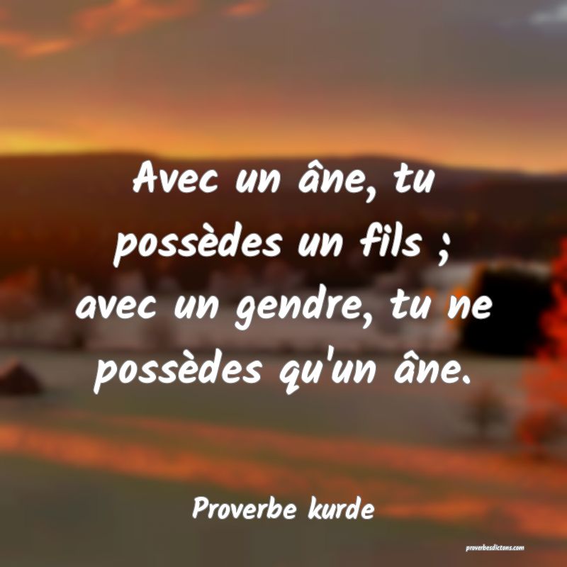 Avec un âne, tu possèdes un fils ; avec un gendre, tu ne possèdes qu'un âne.