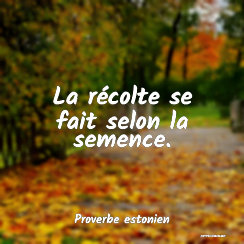 La récolte se fait selon la semence.