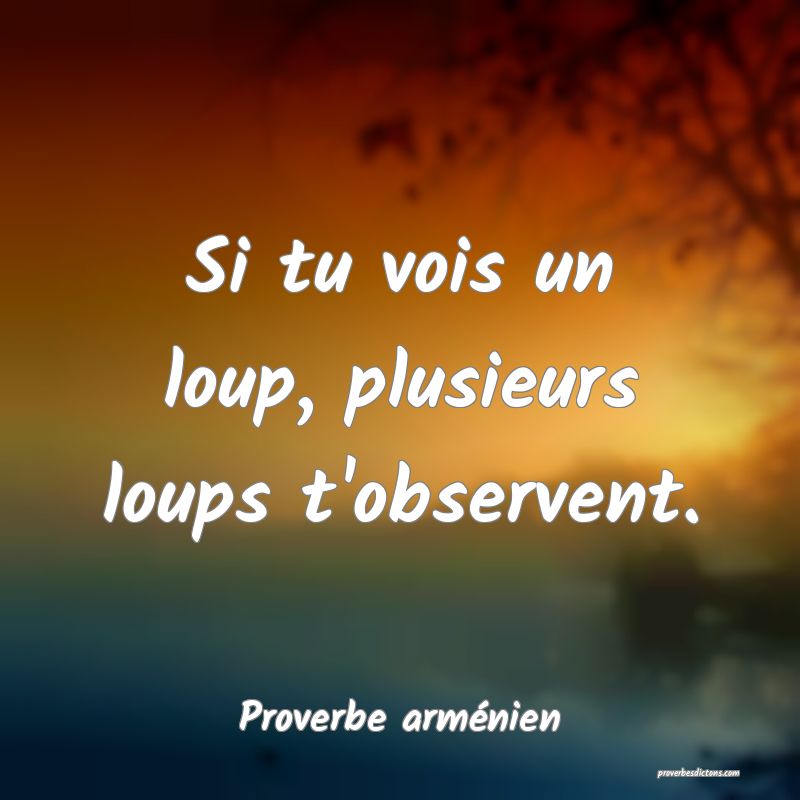 Si tu vois un loup, plusieurs loups t'observent.