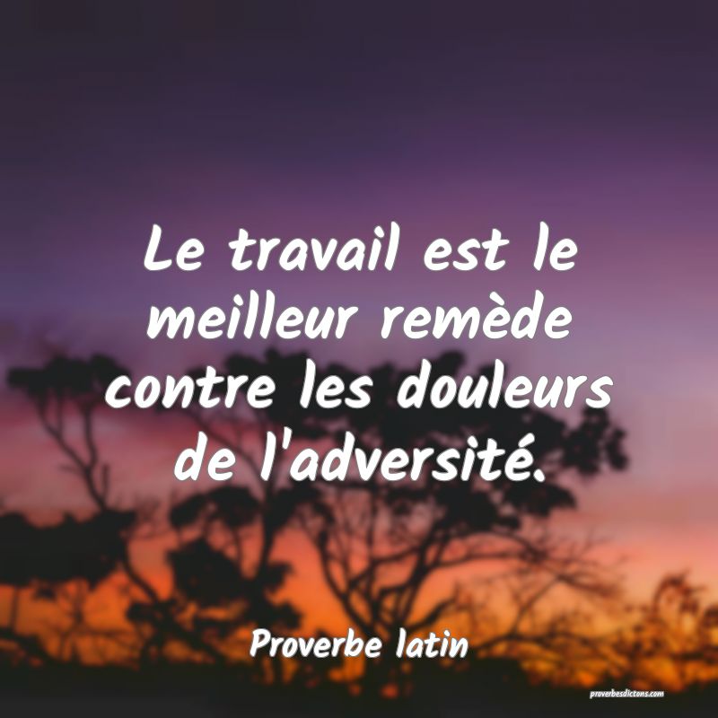 Le travail est le meilleur remède contre les douleurs de l'adversité.