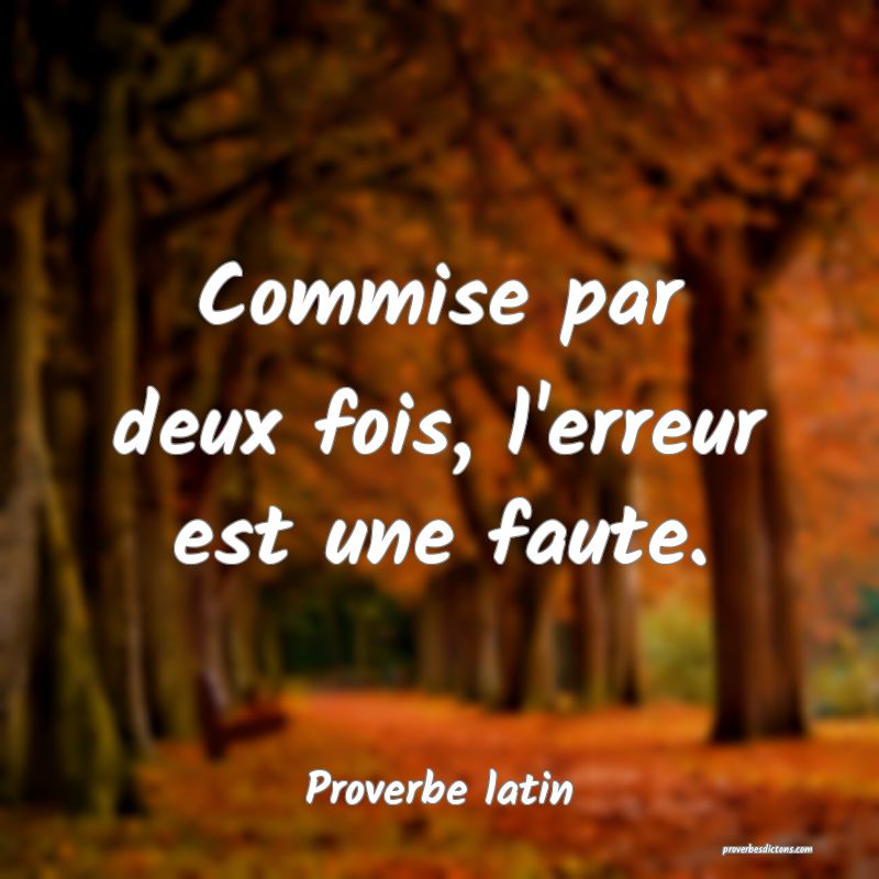 Commise par deux fois, l'erreur est une faute.