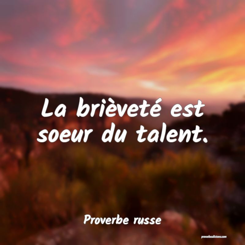  La brièveté est soeur du talent. 