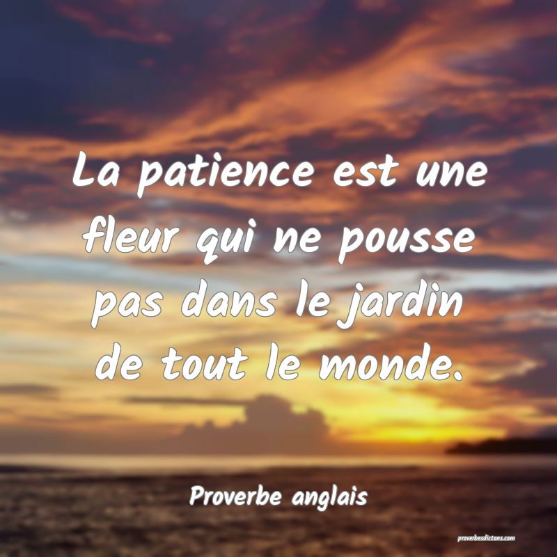 La patience est une fleur qui ne pousse pas dans le jardin de tout le monde.