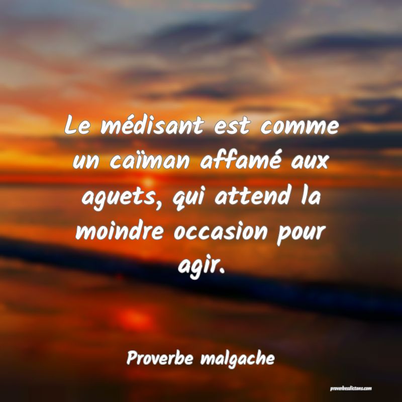 Le médisant est comme un caïman affamé aux aguets, qui attend la moindre occasion pour agir.