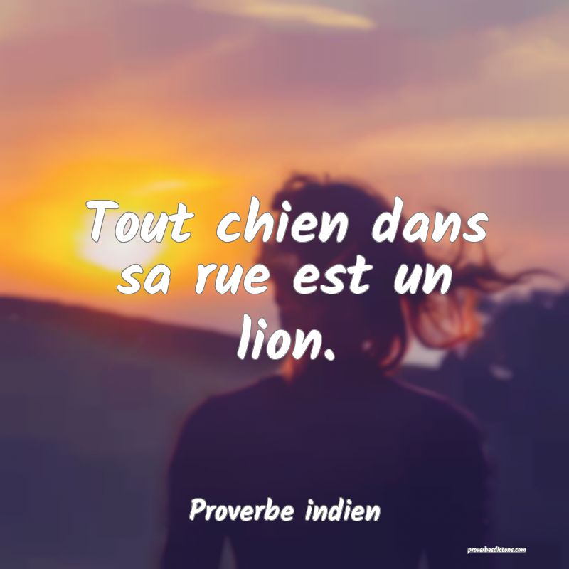Tout chien dans sa rue est un lion.