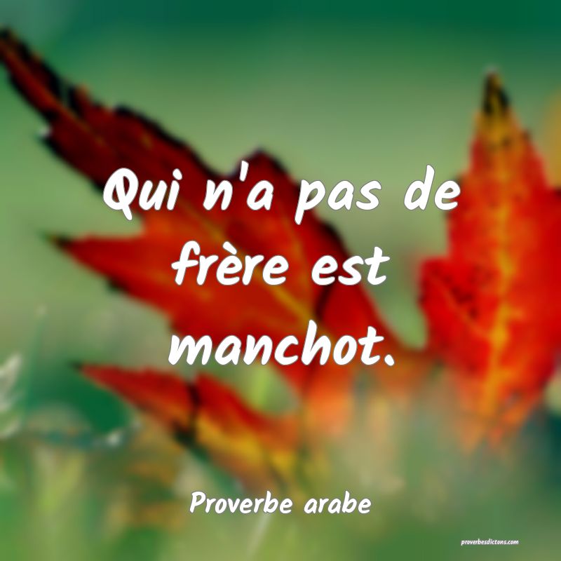 Qui n'a pas de frère est manchot.