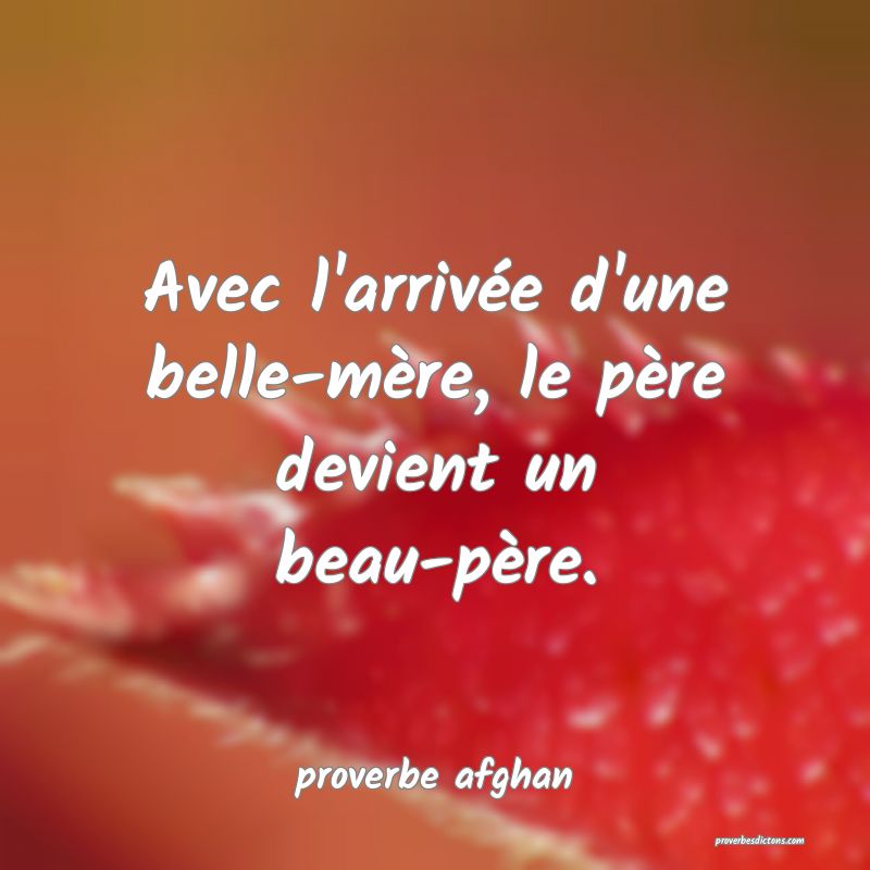Avec l'arrivée d'une belle-mère, le père devient un beau-père.
