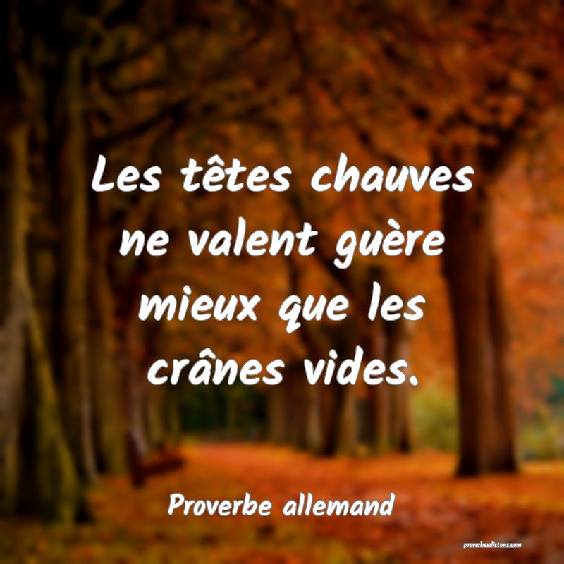 Les têtes chauves ne valent guère mieux que les crânes vides.