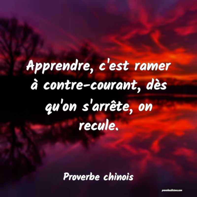 Apprendre, c'est ramer à contre-courant, dès qu'on s'arrête, on recule.