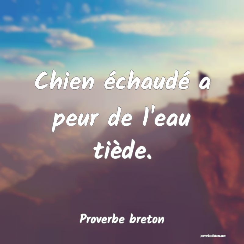 Chien échaudé a peur de l'eau tiède.