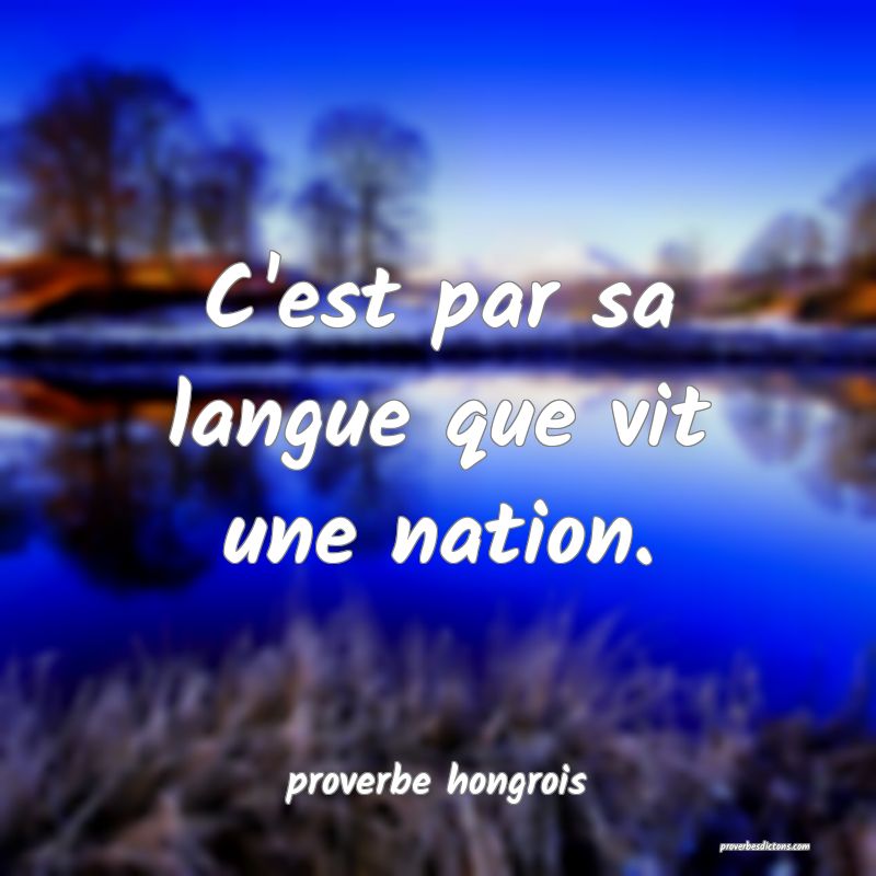 C'est par sa langue que vit une nation.